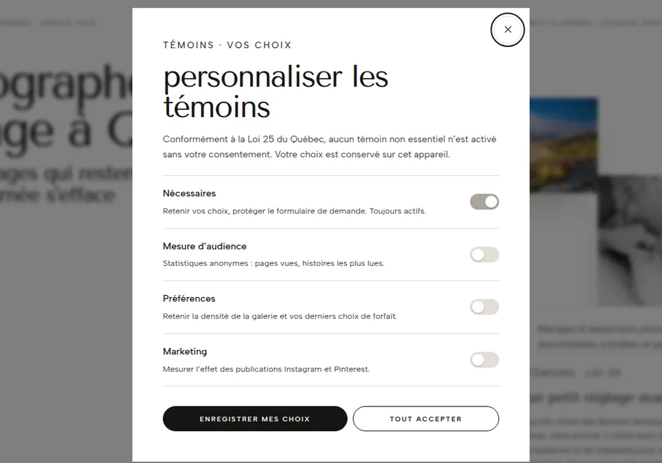 Modèle Atelier Lumière, entreprise fictive : la fenêtre « personnaliser les témoins », qui cite la Loi 25, avec une catégorie par interrupteur.